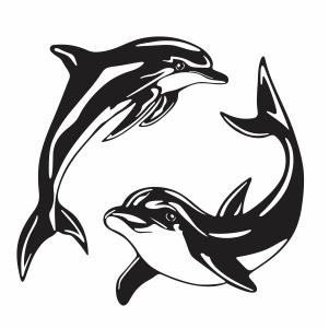 Detail Dolphin Vector Png Nomer 21