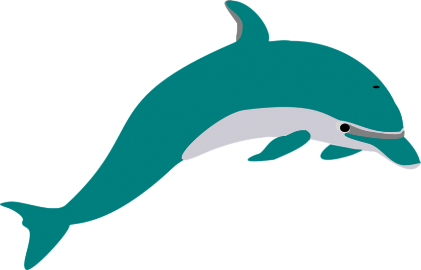 Detail Dolphin Vector Png Nomer 25