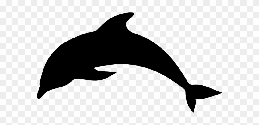 Detail Dolphin Vector Png Nomer 27