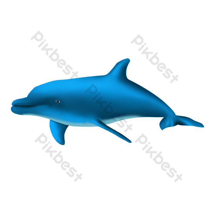 Detail Dolphin Vector Png Nomer 36