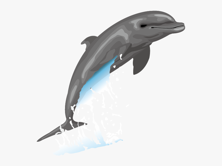 Detail Dolphin Vector Png Nomer 37