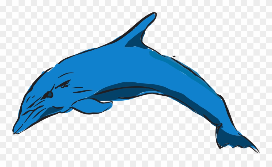 Detail Dolphin Vector Png Nomer 52