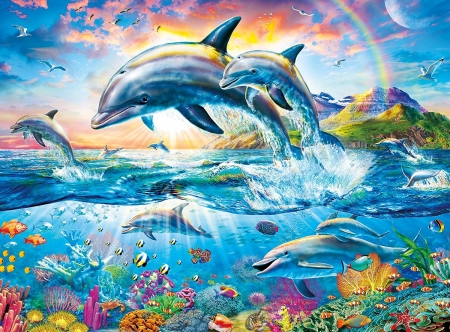 Detail Dolphins Background Images Nomer 15