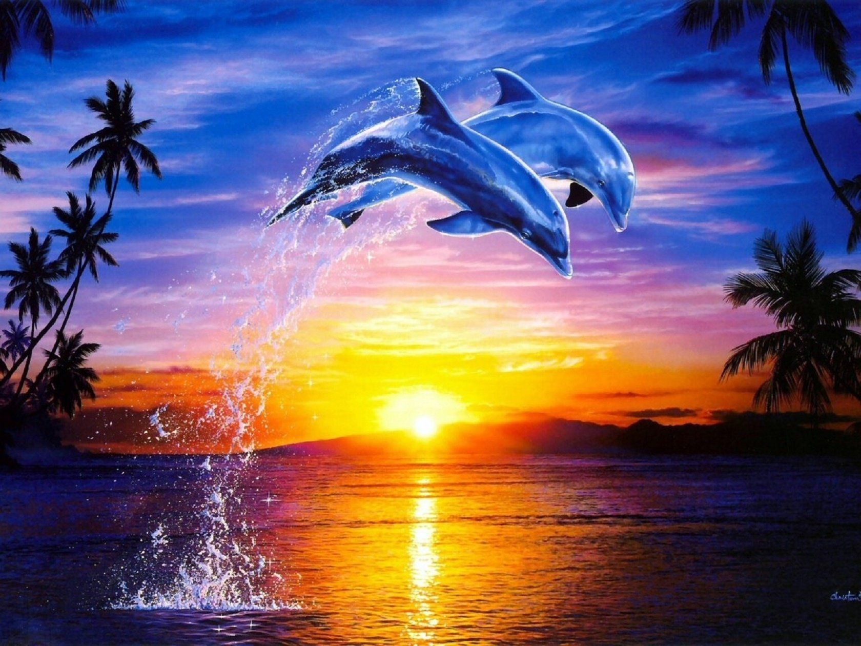 Detail Dolphins Background Images Nomer 22