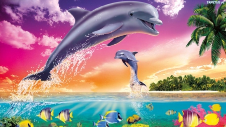 Detail Dolphins Background Images Nomer 26