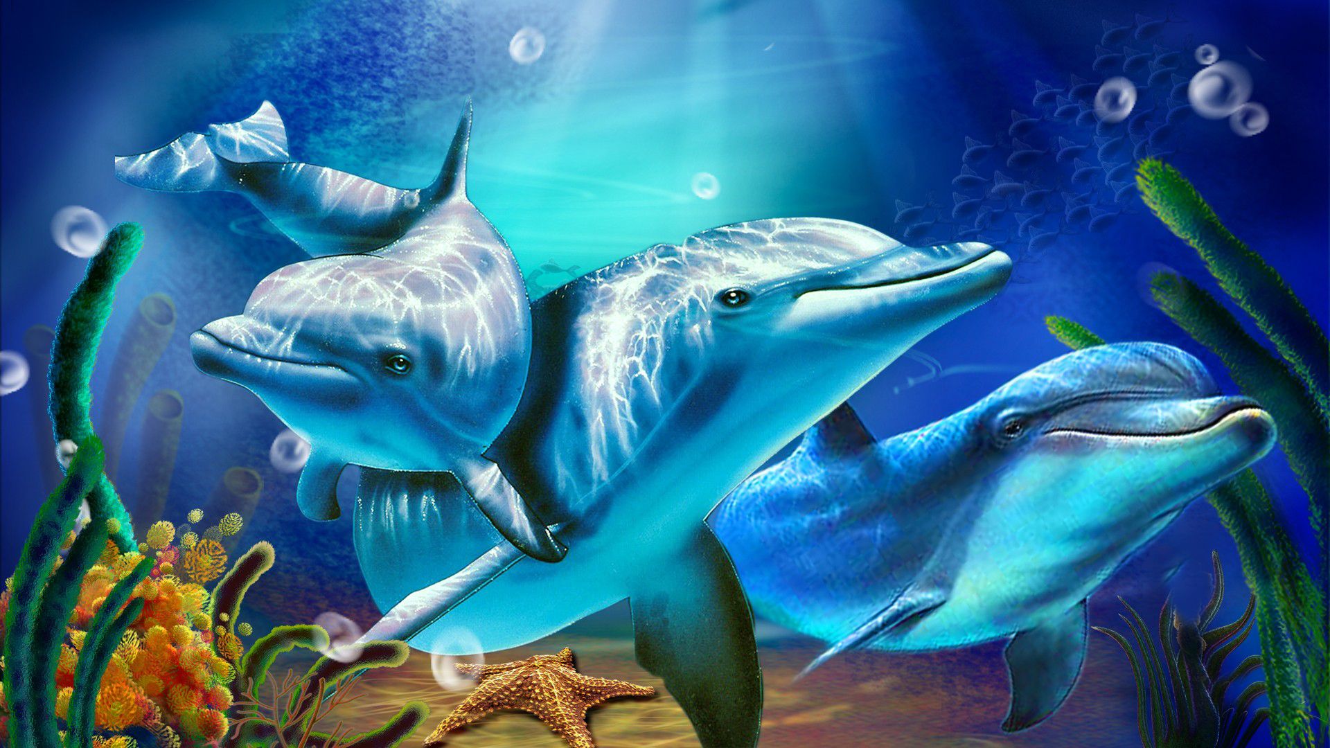 Detail Dolphins Background Images Nomer 4