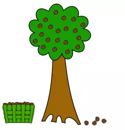 Detail Teile Eines Baumes Nomer 6