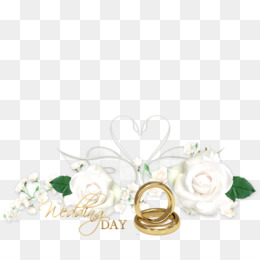 Detail Undangan Pernikahan Kosong Hd Gambar Cincin Nomer 4