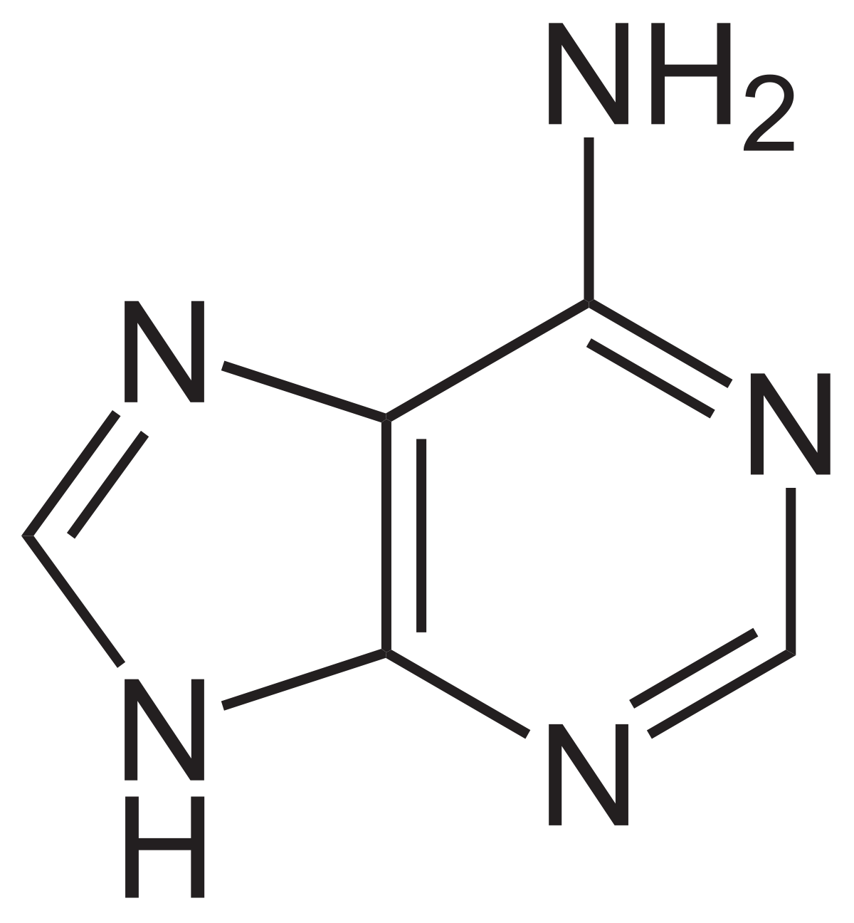 Detail Atp Strukturformel Nomer 10