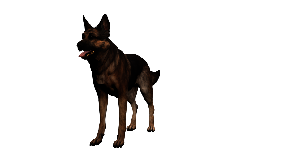 Detail Dogmeat Fallout 4 Nomer 11