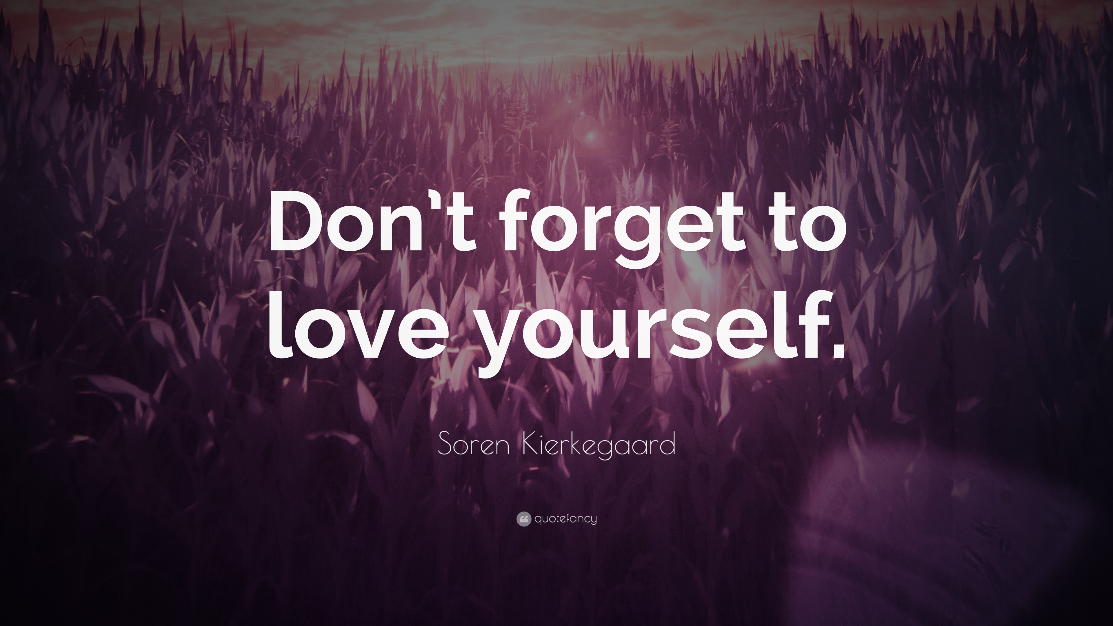 Detail Don T Forget To Love Yourself Quotes Nomer 17