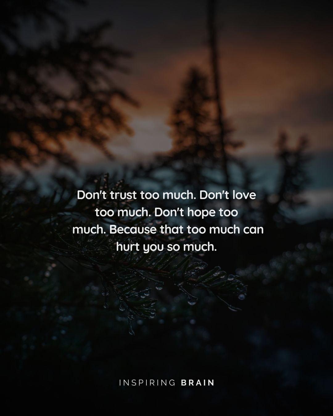 Detail Don T Trust Too Much Quotes Nomer 2