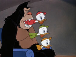 Detail Donald Duck And The Gorilla Disney Plus Nomer 5