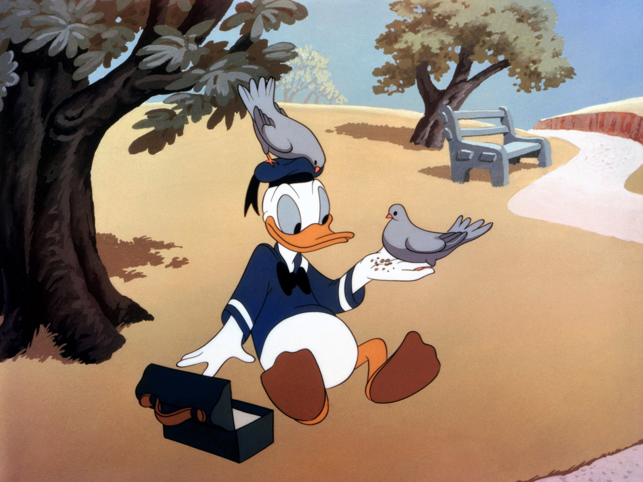 Detail Donald Duck Cartoon Picture Nomer 22