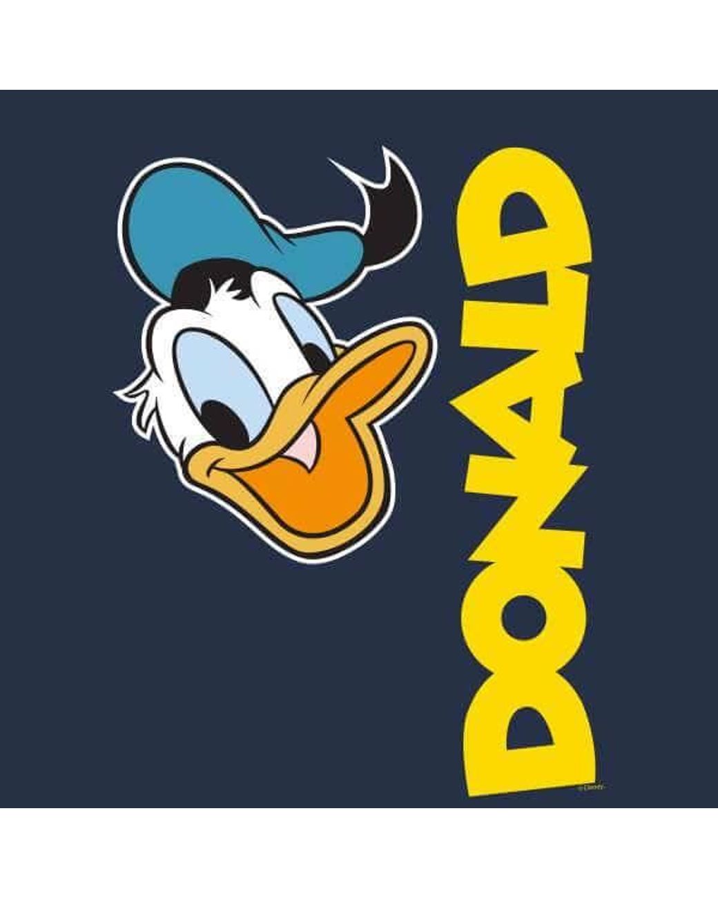 Detail Donald Duck Face Nomer 35