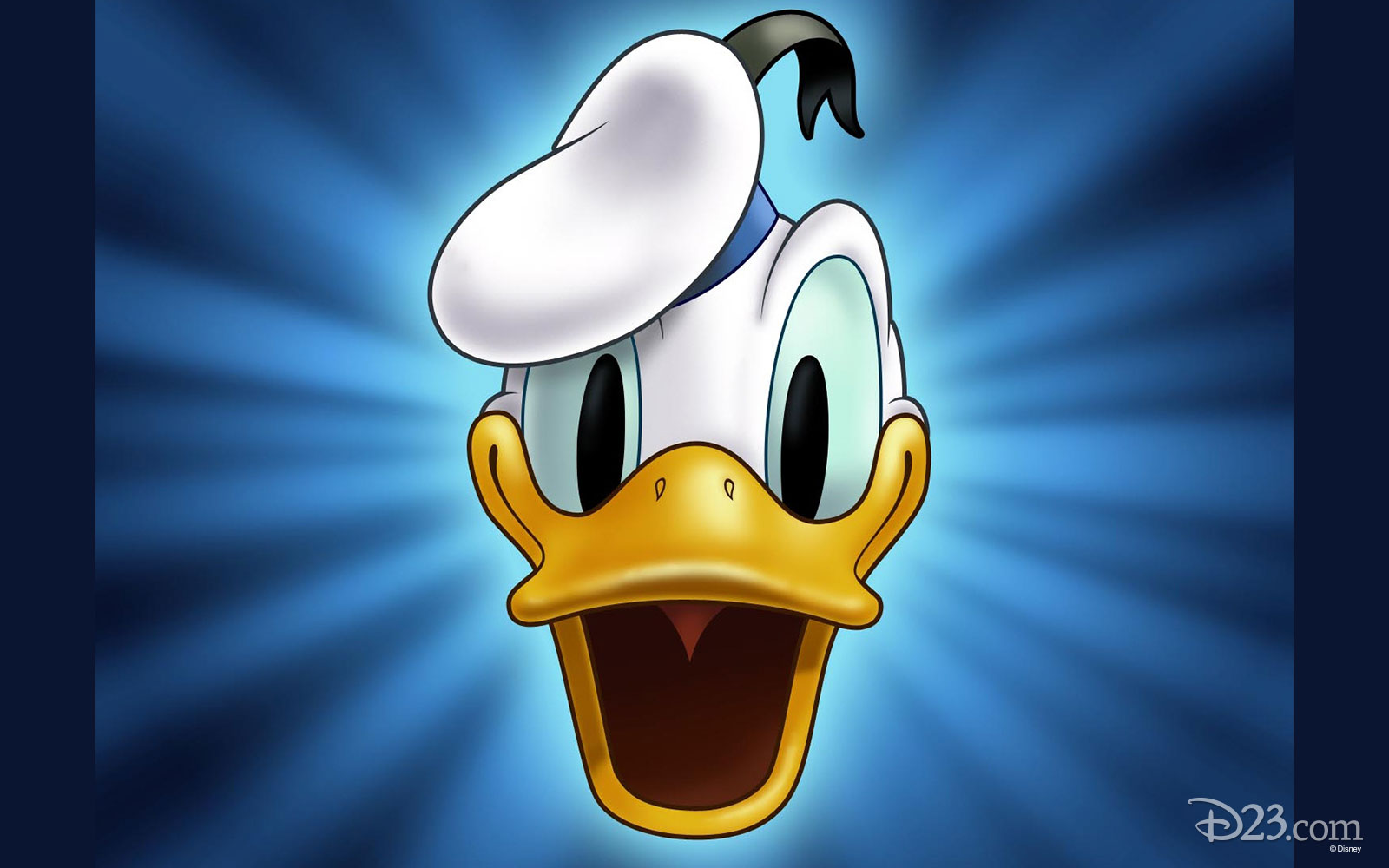 Detail Donald Duck Free Videos Nomer 29
