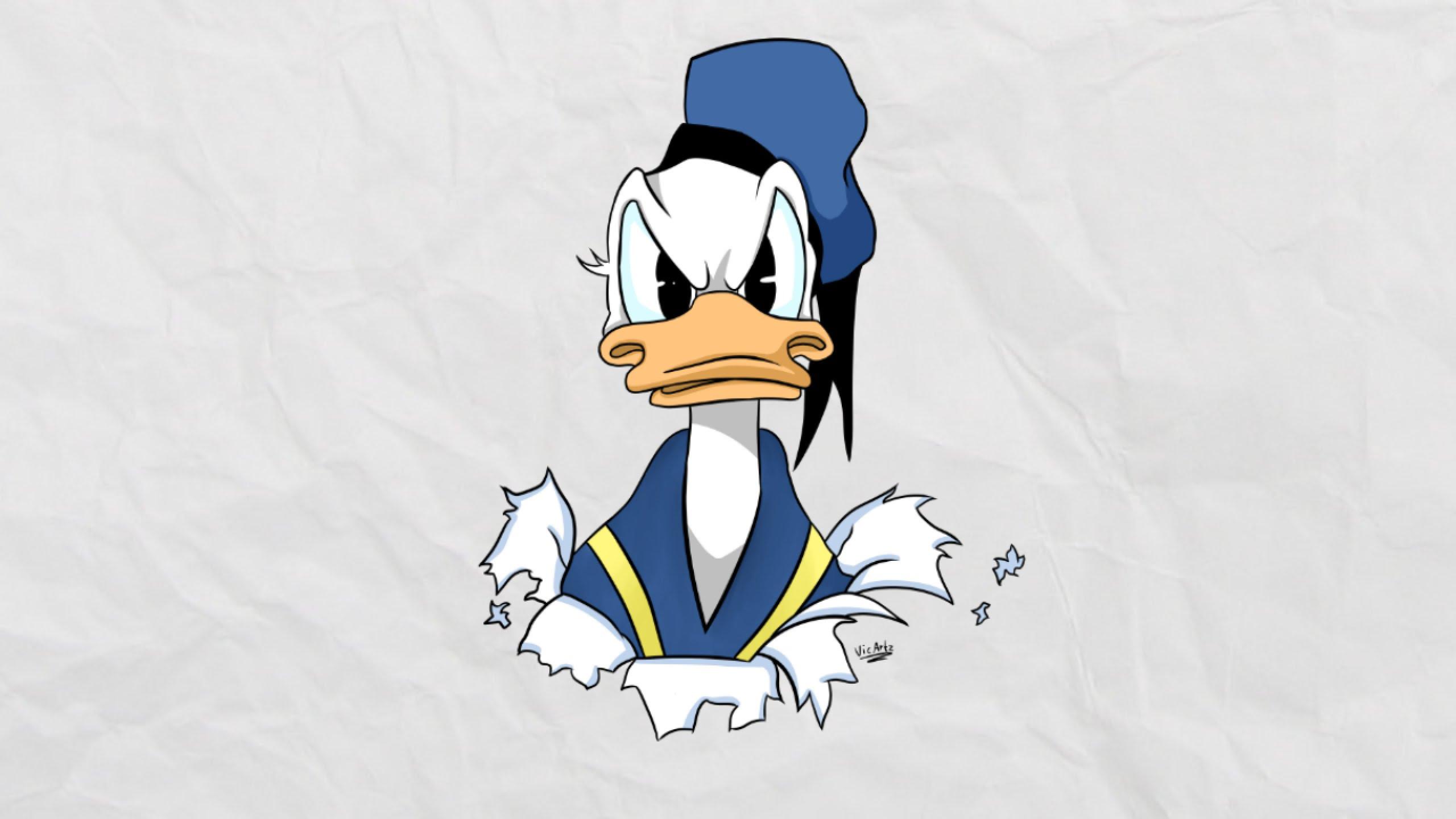 Detail Donald Duck Iphone Wallpaper Nomer 36
