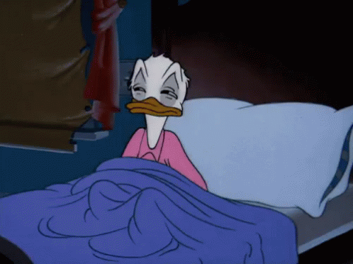 Donald Duck Meme Bed - KibrisPDR