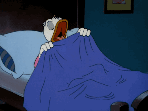 Detail Donald Duck Meme Bed Nomer 12