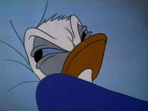 Detail Donald Duck Meme Bed Nomer 14