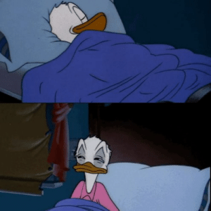 Detail Donald Duck Meme Bed Nomer 20