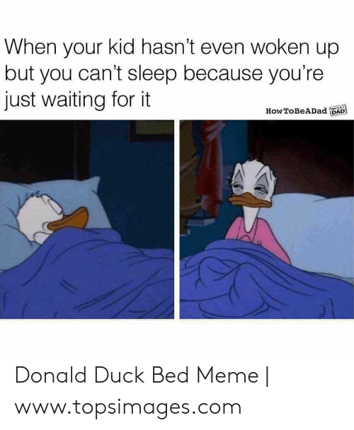 Detail Donald Duck Meme Bed Nomer 33