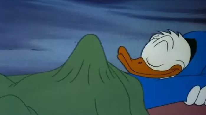 Detail Donald Duck Meme Bed Nomer 45