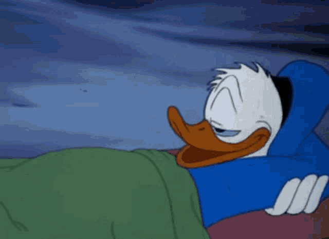 Detail Donald Duck Meme Bed Nomer 8