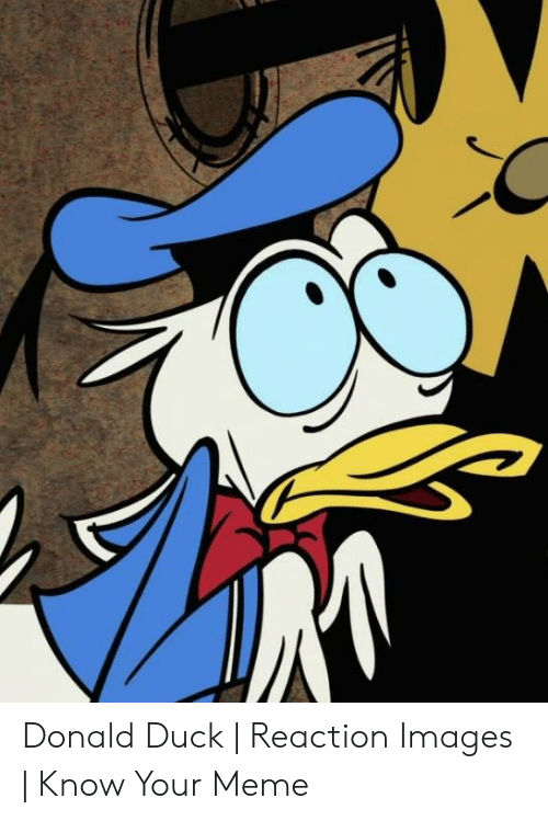 Detail Donald Duck Nut Meme Nomer 53