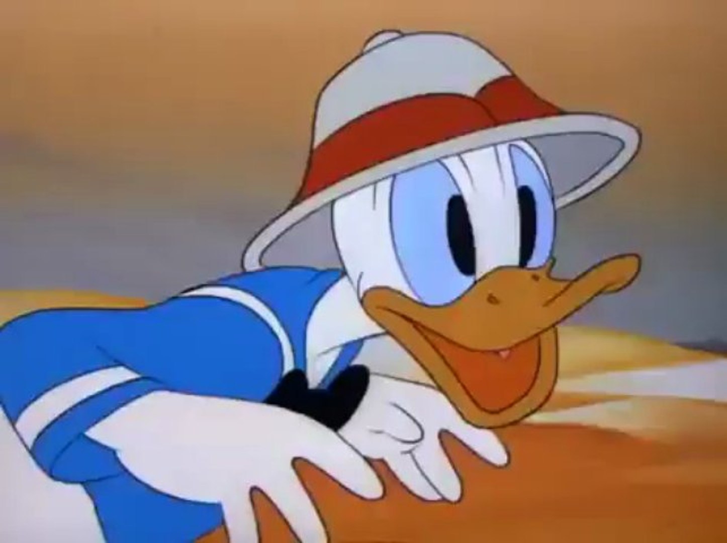 Detail Donald Duck Profile Picture Nomer 42