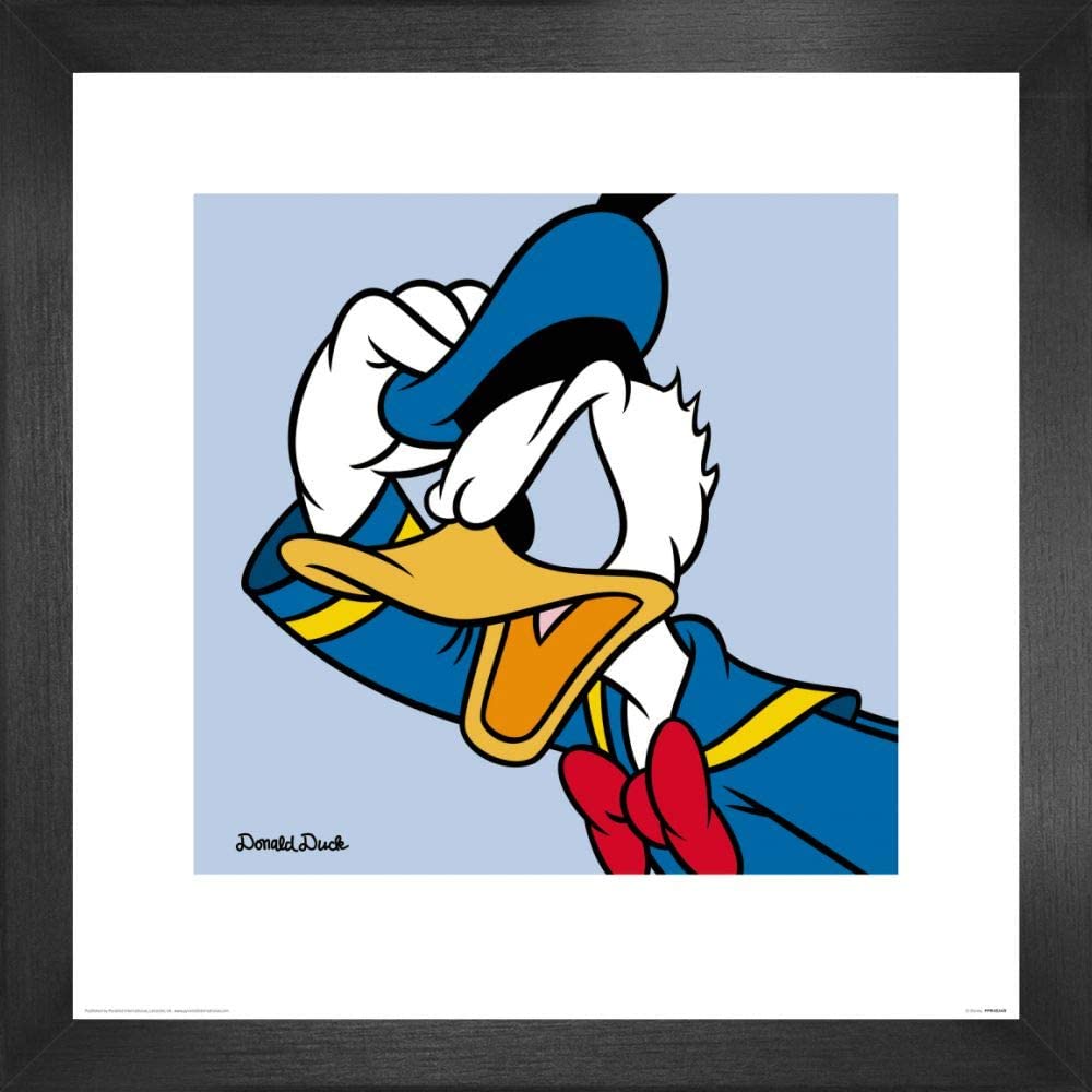 Detail Donald Duck Profile Picture Nomer 49