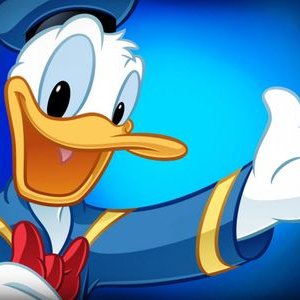 Detail Donald Duck Profile Picture Nomer 54