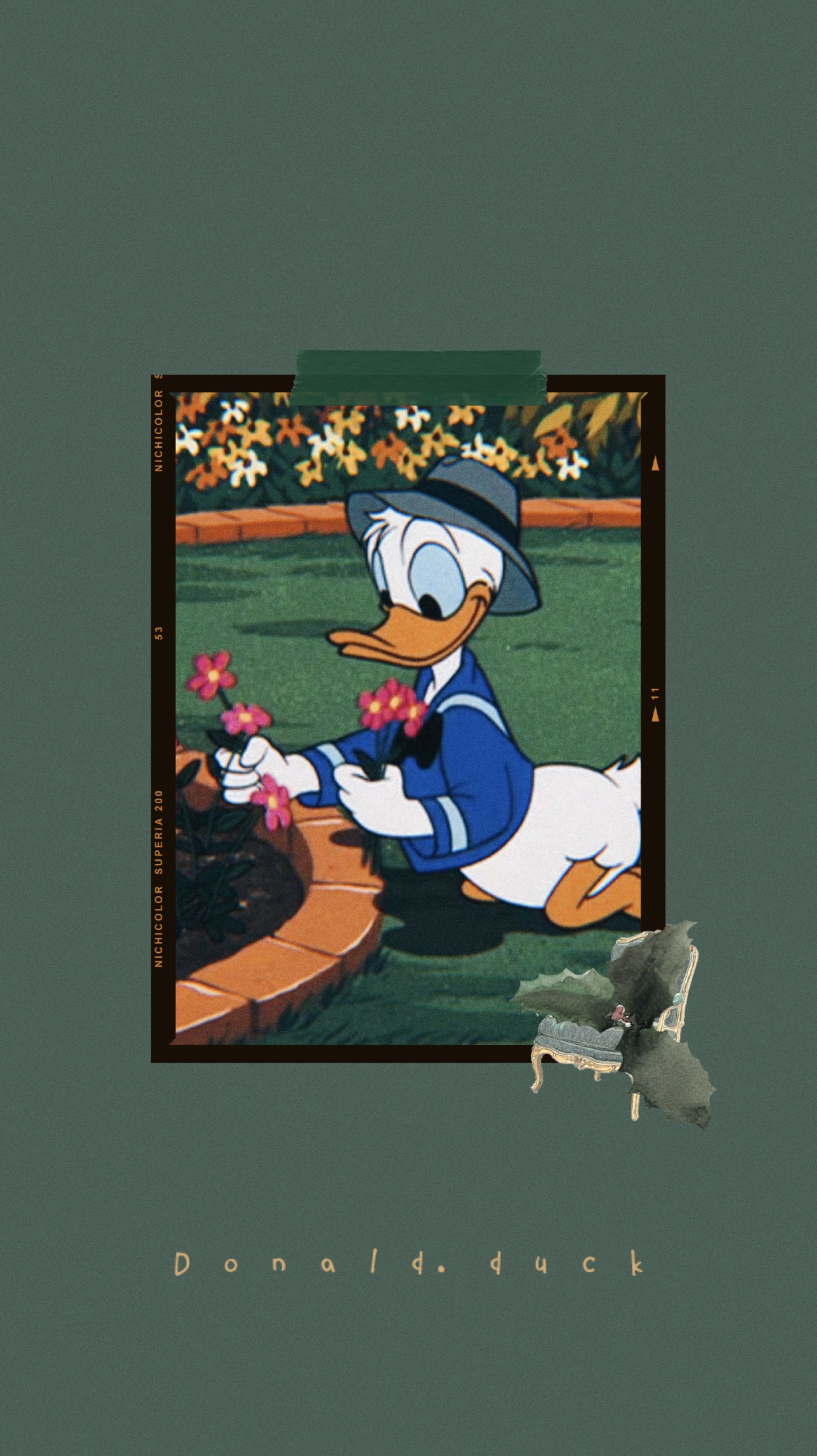 Detail Donald Duck Wallpaper Nomer 44
