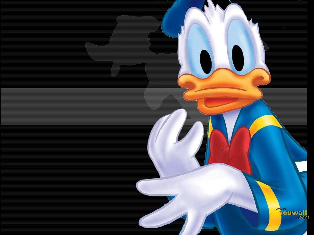 Detail Donald Duck Wallpaper Background Nomer 20