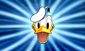 Detail Donald Duck Wallpaper Background Nomer 27