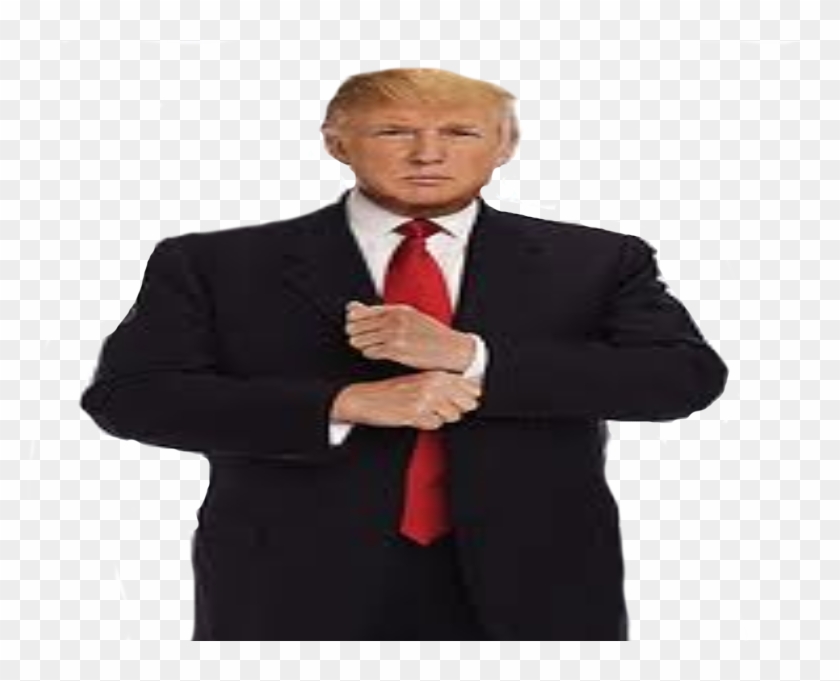 Detail Donald Trump Full Body Transparent Nomer 2