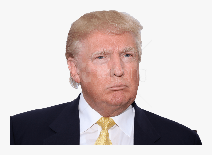 Detail Donald Trump Hd Photo Nomer 51