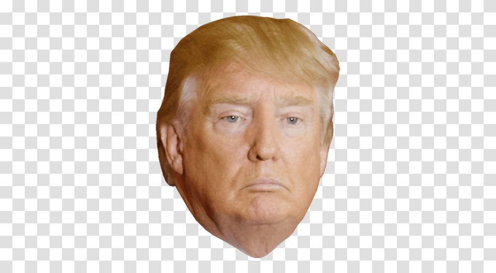 Detail Donald Trump Head Clear Background Nomer 9