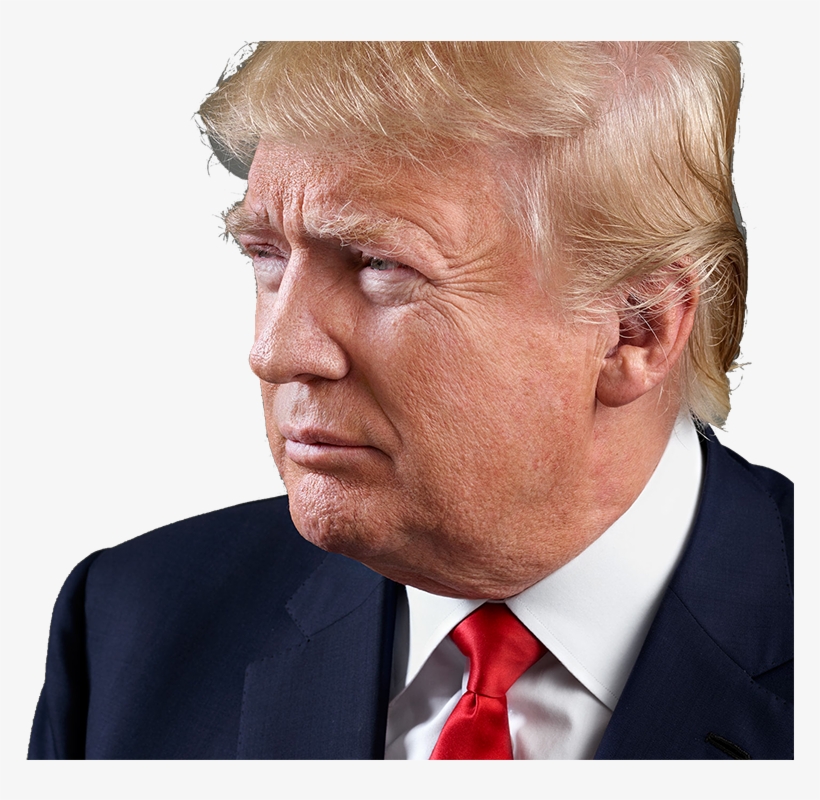 Detail Donald Trump Head Clear Background Nomer 22