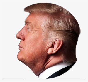 Detail Donald Trump Head Clear Background Nomer 25