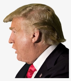 Detail Donald Trump Head No Background Nomer 40