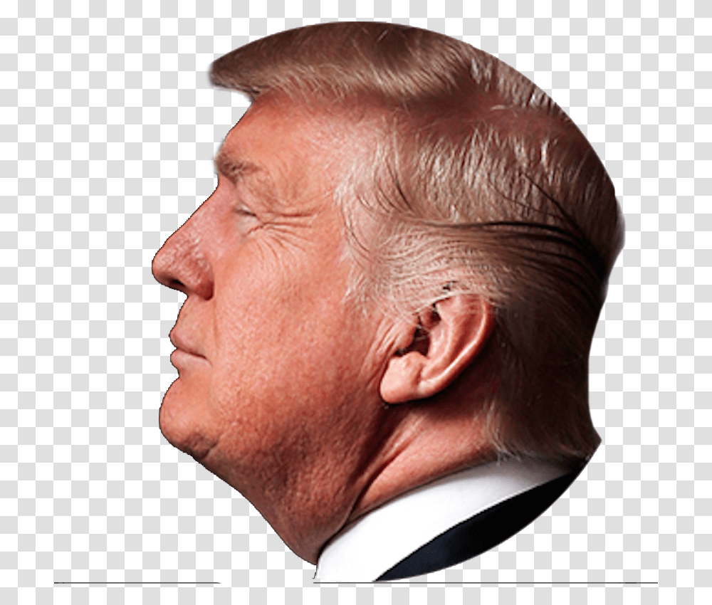 Detail Donald Trump Head Transparent Nomer 14