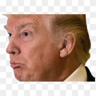 Detail Donald Trump Head Transparent Background Nomer 53