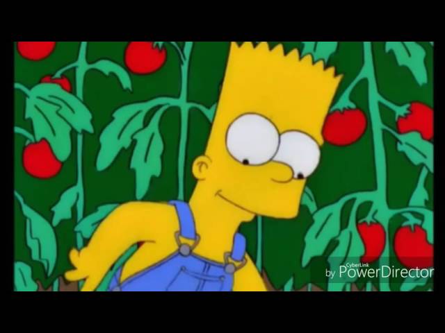 Detail Donald Trump Illuminati Simpsons Nomer 29