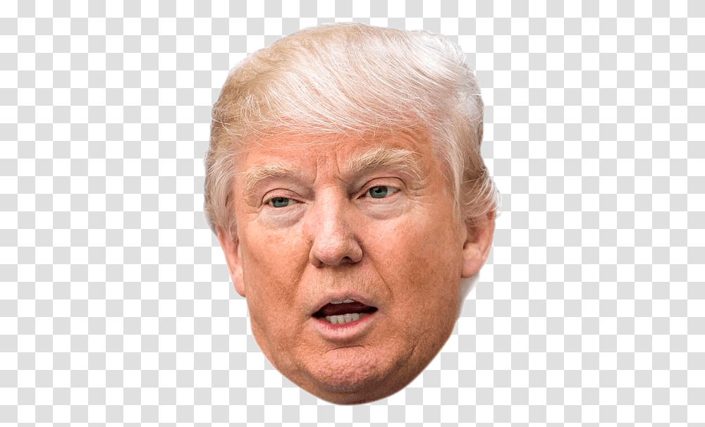 Detail Donald Trump Png Head Nomer 13