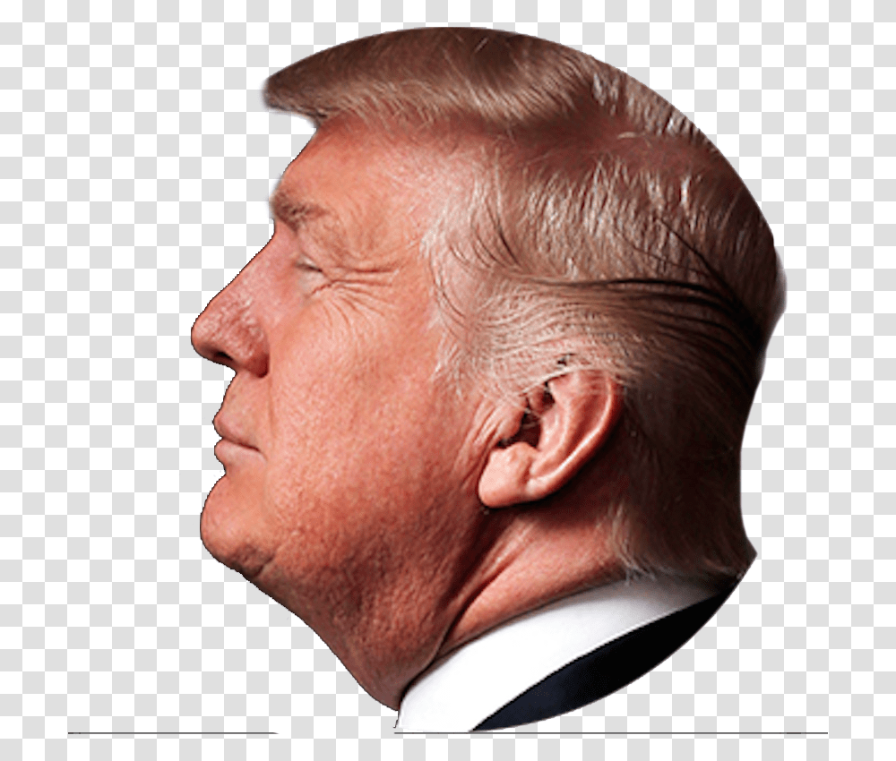 Detail Donald Trump Png Head Nomer 16