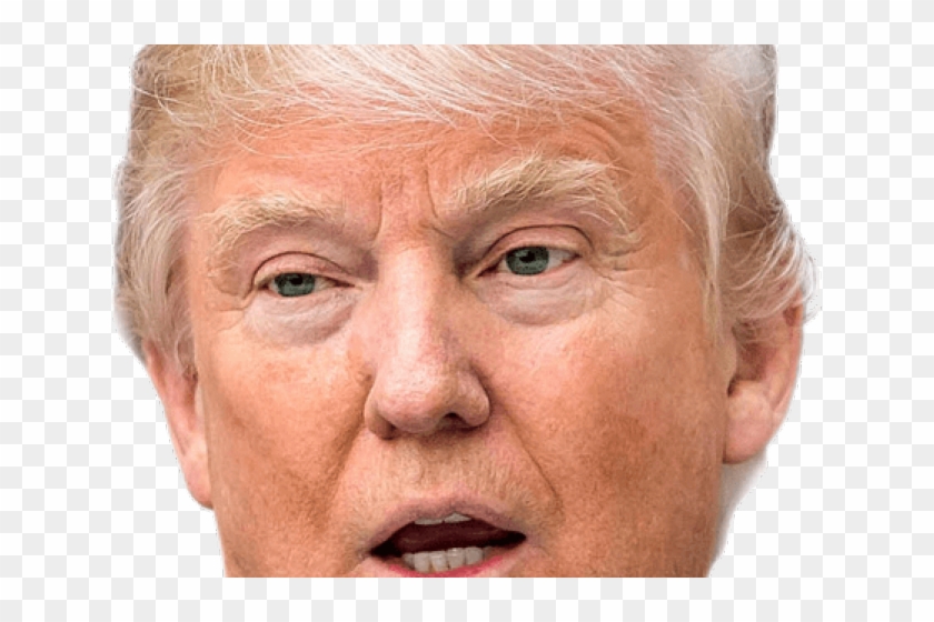 Detail Donald Trump Png Head Nomer 18