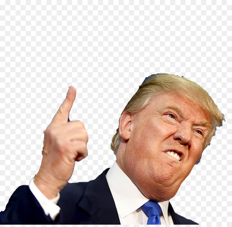 Detail Donald Trump Png Transparent Nomer 26