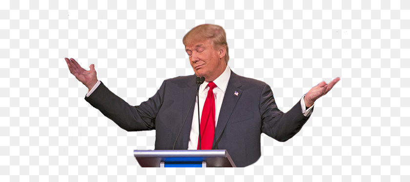 Detail Donald Trump Png Transparent Nomer 48