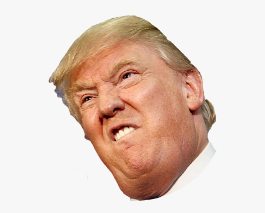 Detail Donald Trump Png Transparent Nomer 56